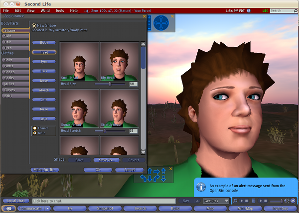 A screen shot of the avatar designer in the SecondLife Viewer